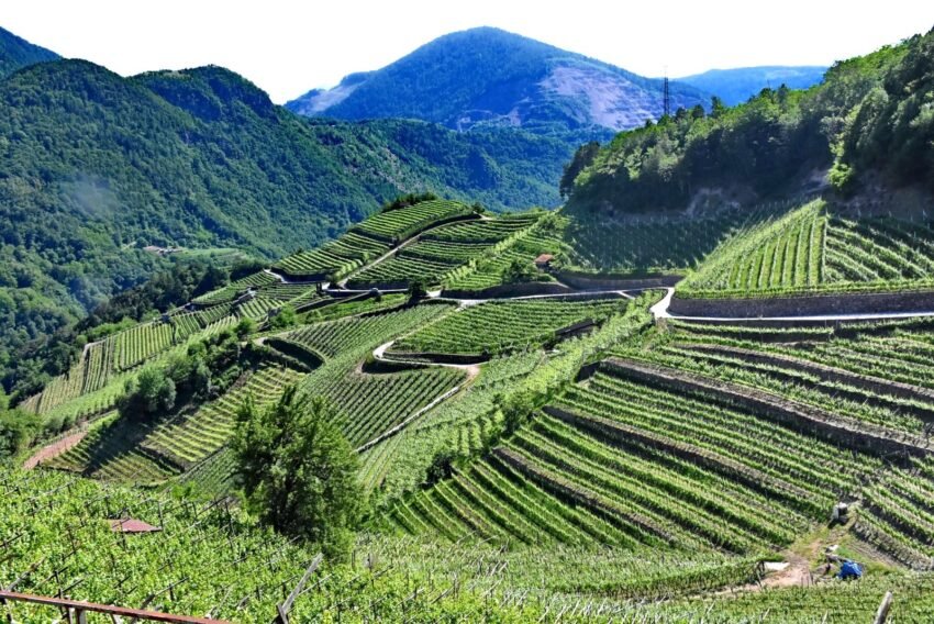 Valle Di Cembra 850x568