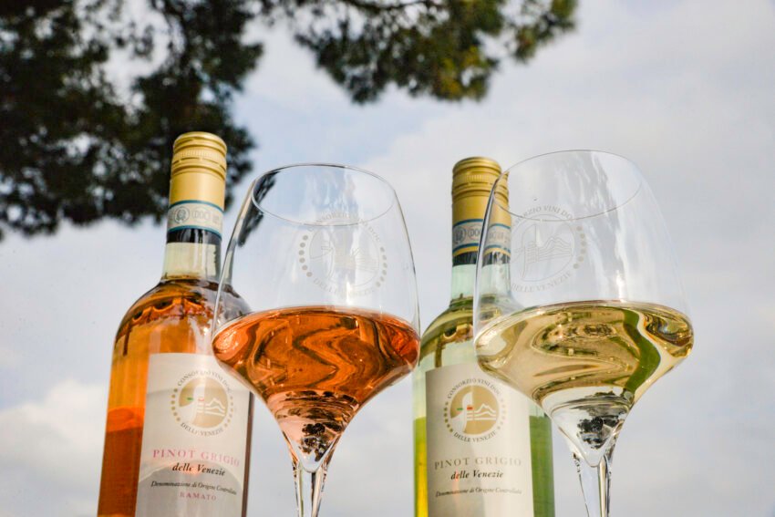 doc delle venezie calici &copy;enricobrunelli