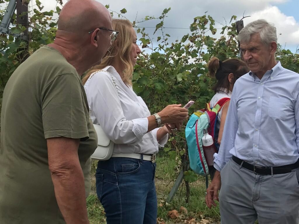 Vendemmia in Val Polcevera img 6709 copia