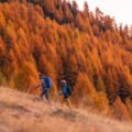 AUTUNNO A LIVIGNO: UN WEEKEND TRA PROFUMI ALPINI E PASSI NELLA NATURA livigno trekking autunno 1