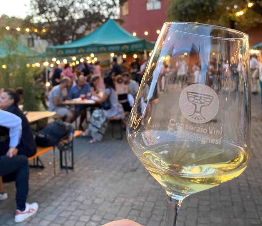mostra assaggio vini dei colli bolognesi