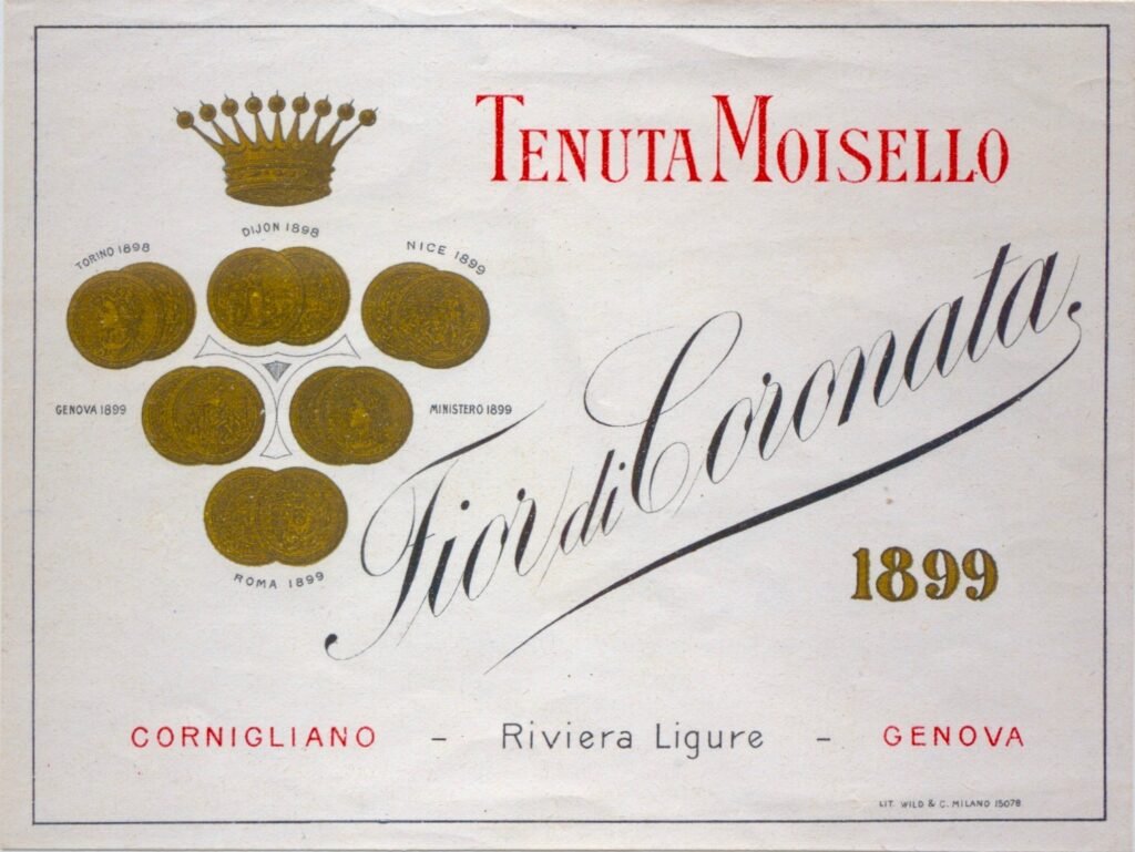 Vendemmia in Val Polcevera scan 230523 0002