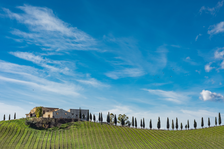 vigneti italia adobe (3)