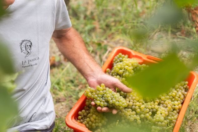 a7805f6b db5a feab 5731 df2ee6f1318a