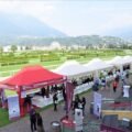 In viaggio verso Merano WineFestival 2025: all’Ippodromo di Merano e a Lagundo le anteprime della 34^ edizione f1728e0d 3086 b701 4399 51e5a95f967c