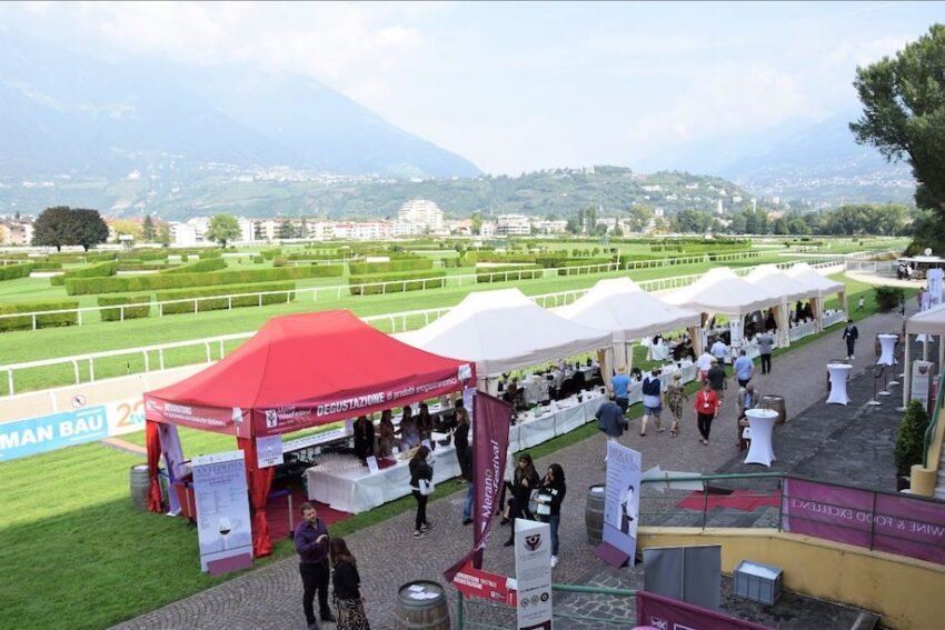 f1728e0d 3086 b701 4399 51e5a95f967c