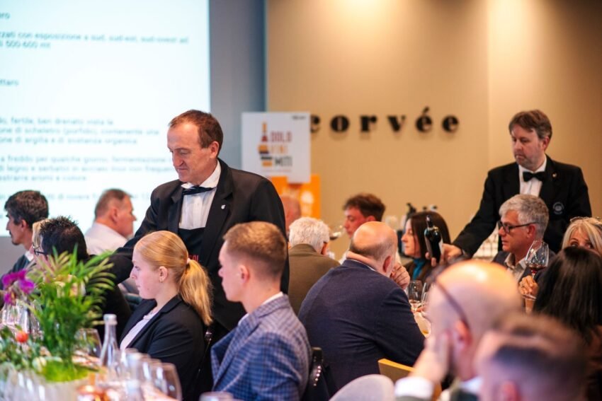 dolovinimiti 2025 ld (59)