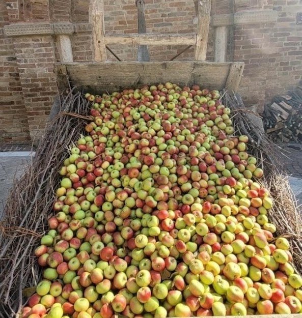 immagine whatsapp 2023 10 30 ore 15.40.29 79b67a6c