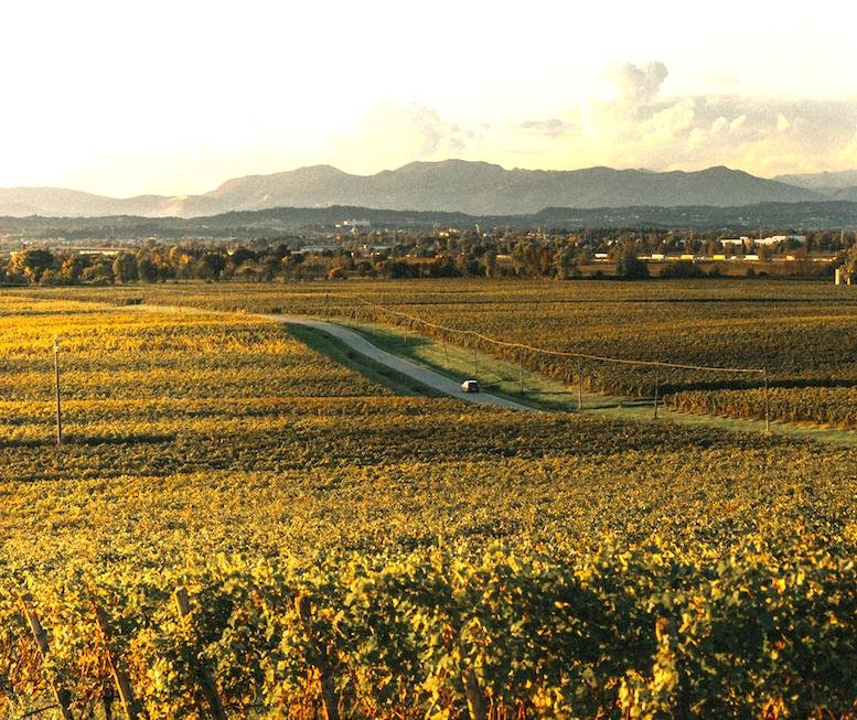 photo credits consorzio lugana 1