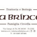 brinca newsletter 2022