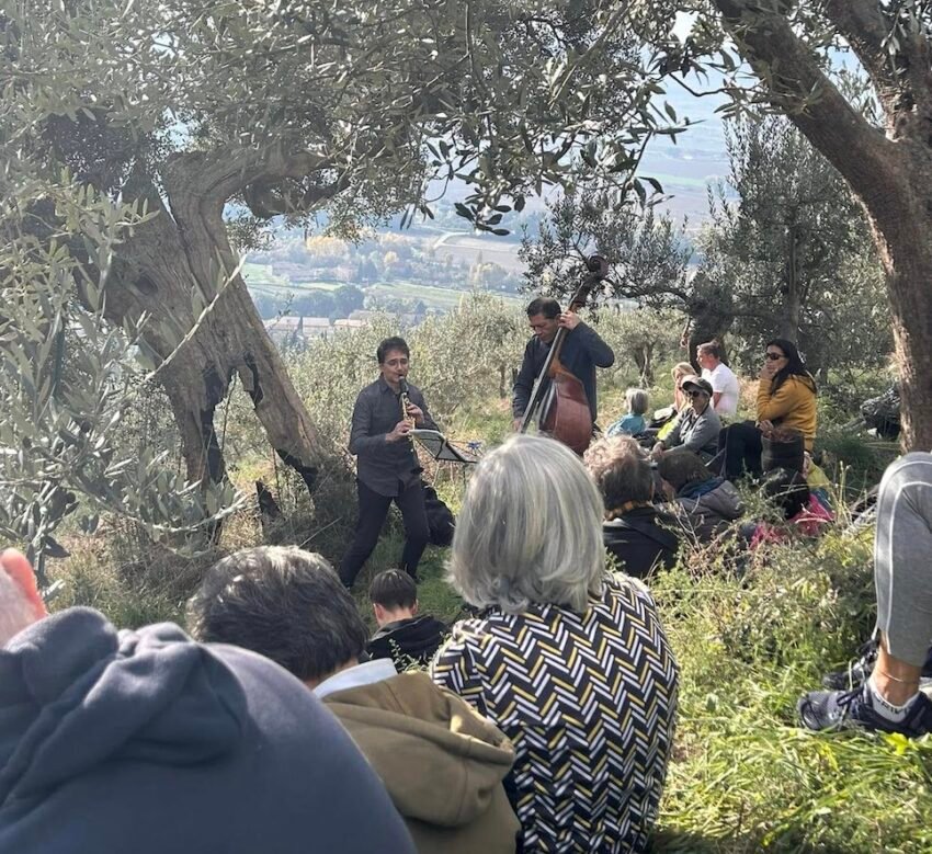 musica tra olivi campello sul clitunno