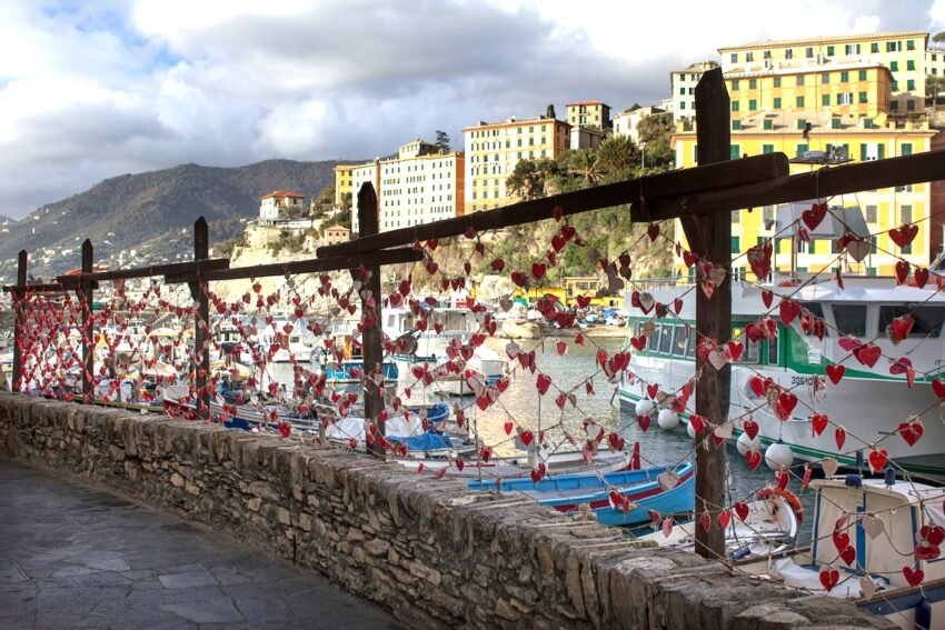 475152788 646389254391929 6884422068184623957 n