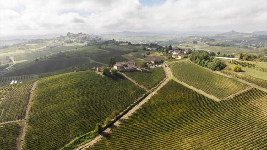 88b70b6a 26a1 4ee8 92eb 2e2fdf15462e