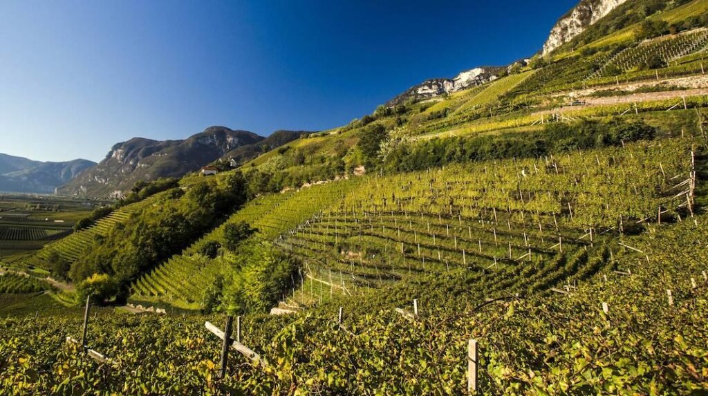 SOMA XXV 2020: l’esclusiva edizione limitata, presentata durante l'evento The Red Masters brenntal(3) copia