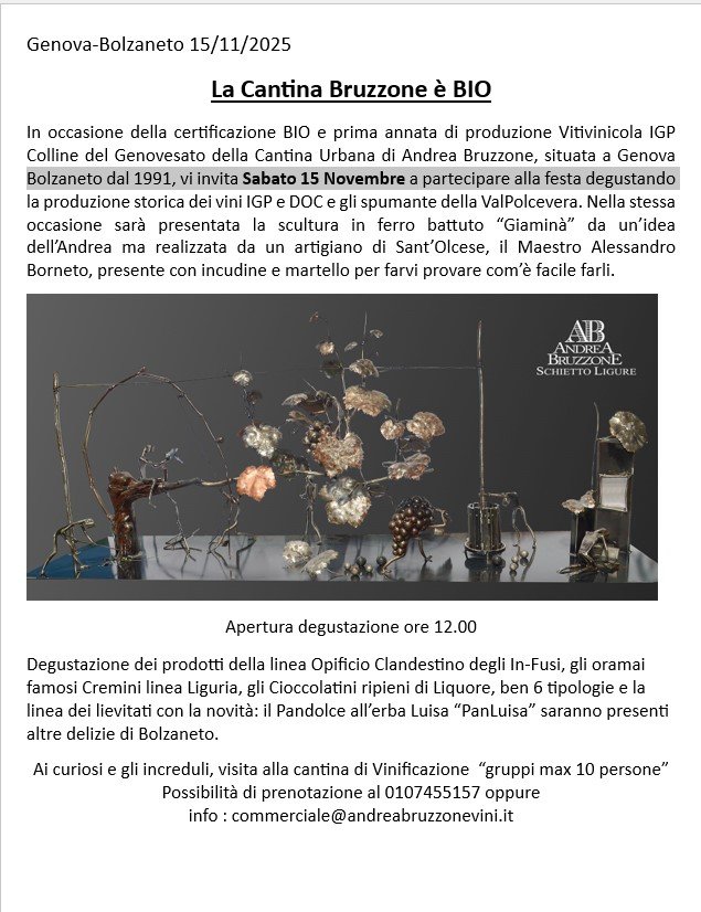 photo 2025 11 09 21 38 03