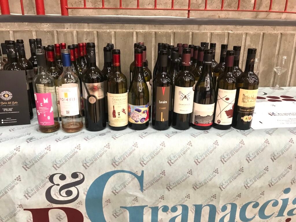 Granaccia & Rossi di Liguria a Quiliano img 7188