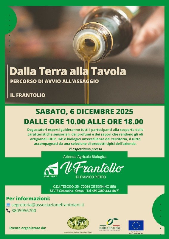 whatsapp image 2025 12 02 at 17.37.06