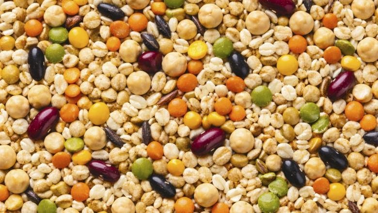 nws risolegumi w780 h439