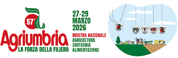 8e197be6 765c ba04 6fba eeab8d8591fd