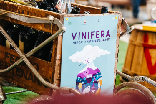 vinifera 2025 credits luca matassoni (2)