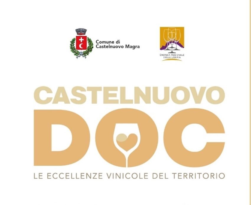 whatsapp image 2026 02 26 at 10.05.19 copia 2