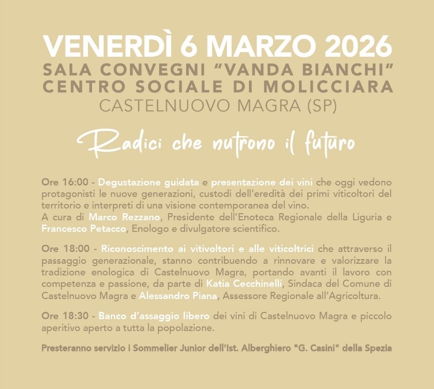 whatsapp image 2026 02 26 at 10.05.19 copia