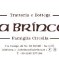 brinca newsletter 2022