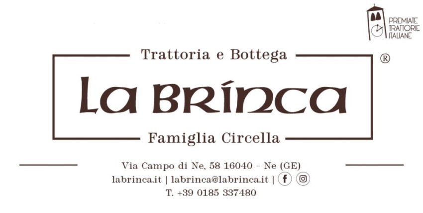 brinca newsletter 2022