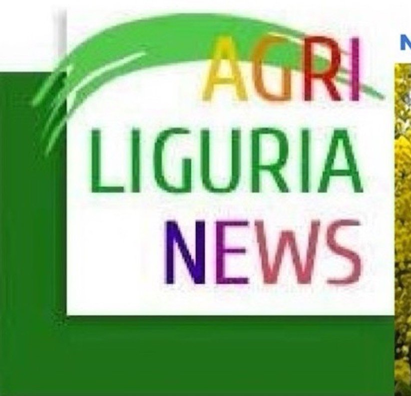 newsletter feb 26 testata