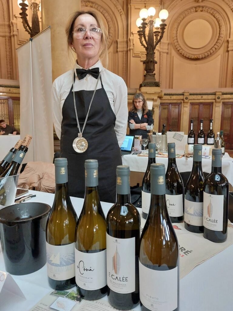 648884509 4343814992501269 1387590120684651866 n copia 2