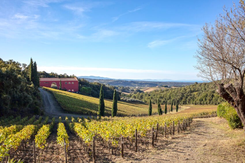 caiarossa vineyard podere serra all'olio