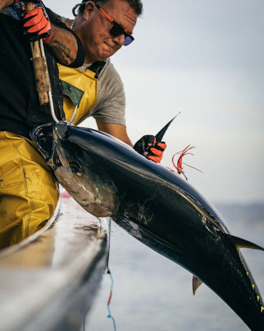 3 credit msc jonathan serrano