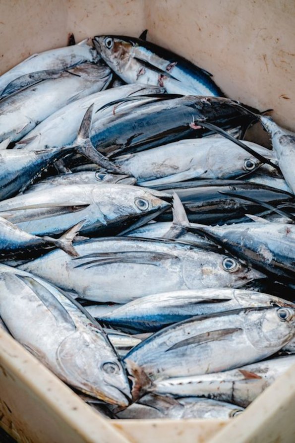 4 credit msc atm communication