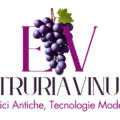 etruriavinum logopayoff bianco 1024x598