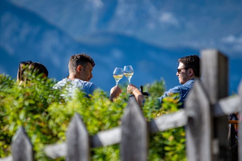 fototecamasomartis gemmedigusto lr