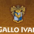 gallo ivan