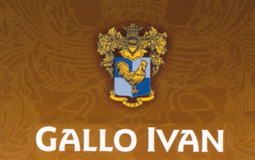gallo ivan