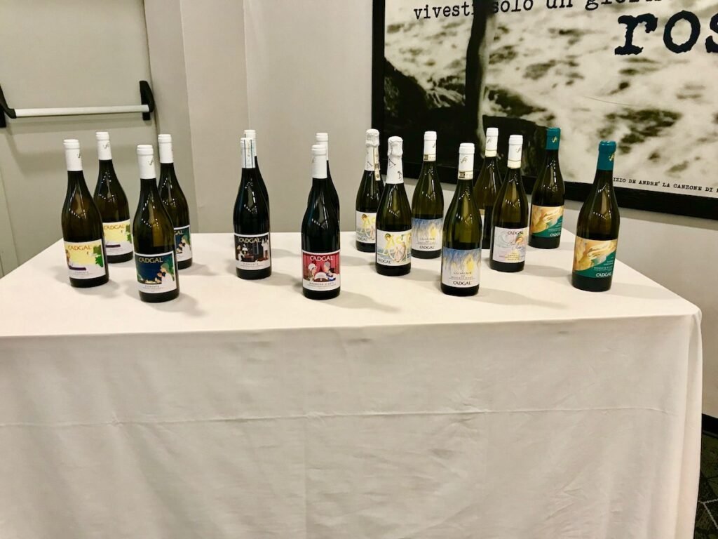 Serata FIS: Langhe e Monferrato con la cantina Cadgal img 7975 copia