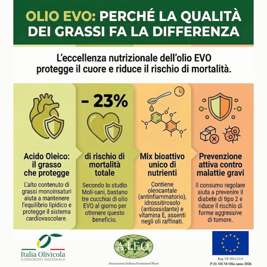 whatsapp image 2026 04 09 at 19.21.35