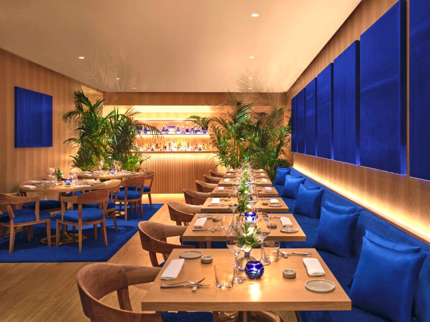 anima sala blu