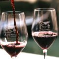consorzio vini venezia copia
