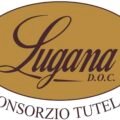 logo+consorzio+2+transp
