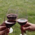 lambrusco a corte 3