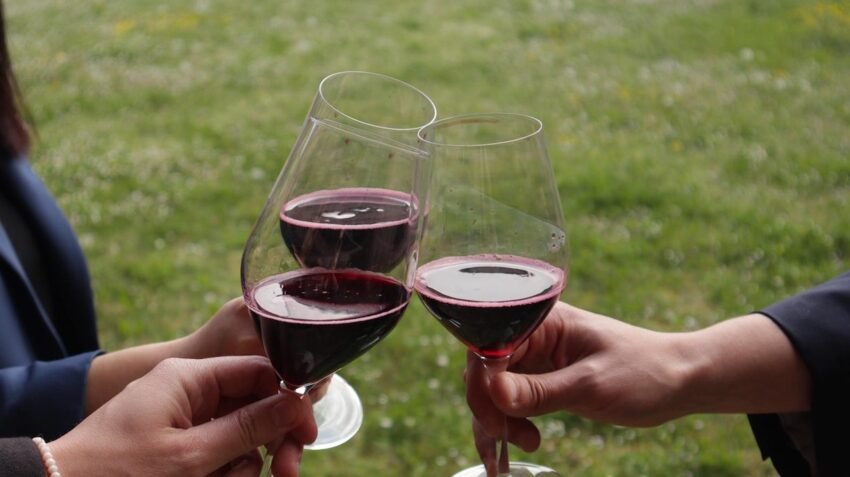 lambrusco a corte 3