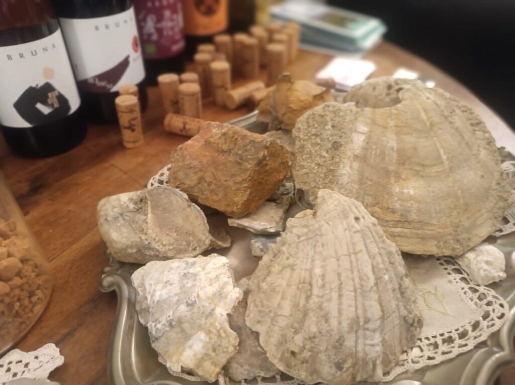 photo 2026 05 23 12 22 58 2