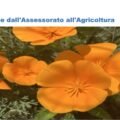 maggio 2026 1