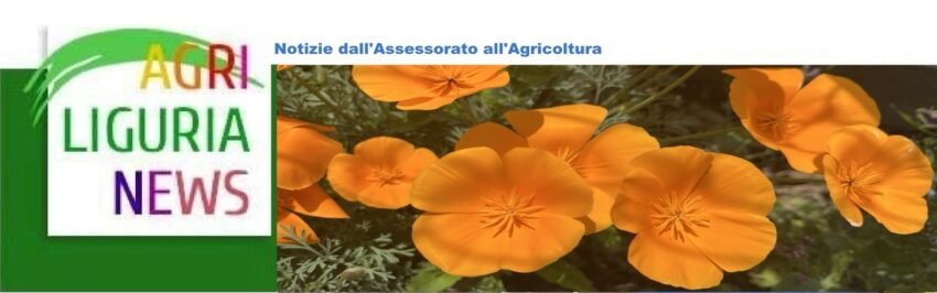 maggio 2026 1