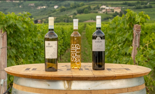 ilatium morini soave