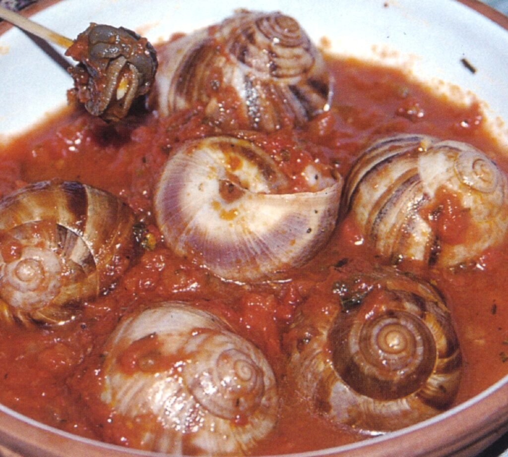 lumache in umido