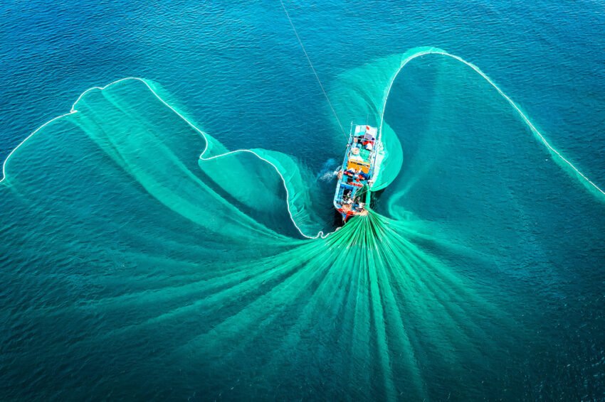 ships,and,fishermen,are,fishing,anchovies,in,yen,island,,phu